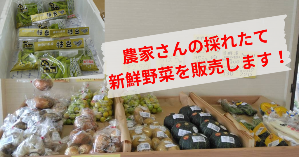 三浦海岸浜辺の直売所あいばで新鮮野菜販売します